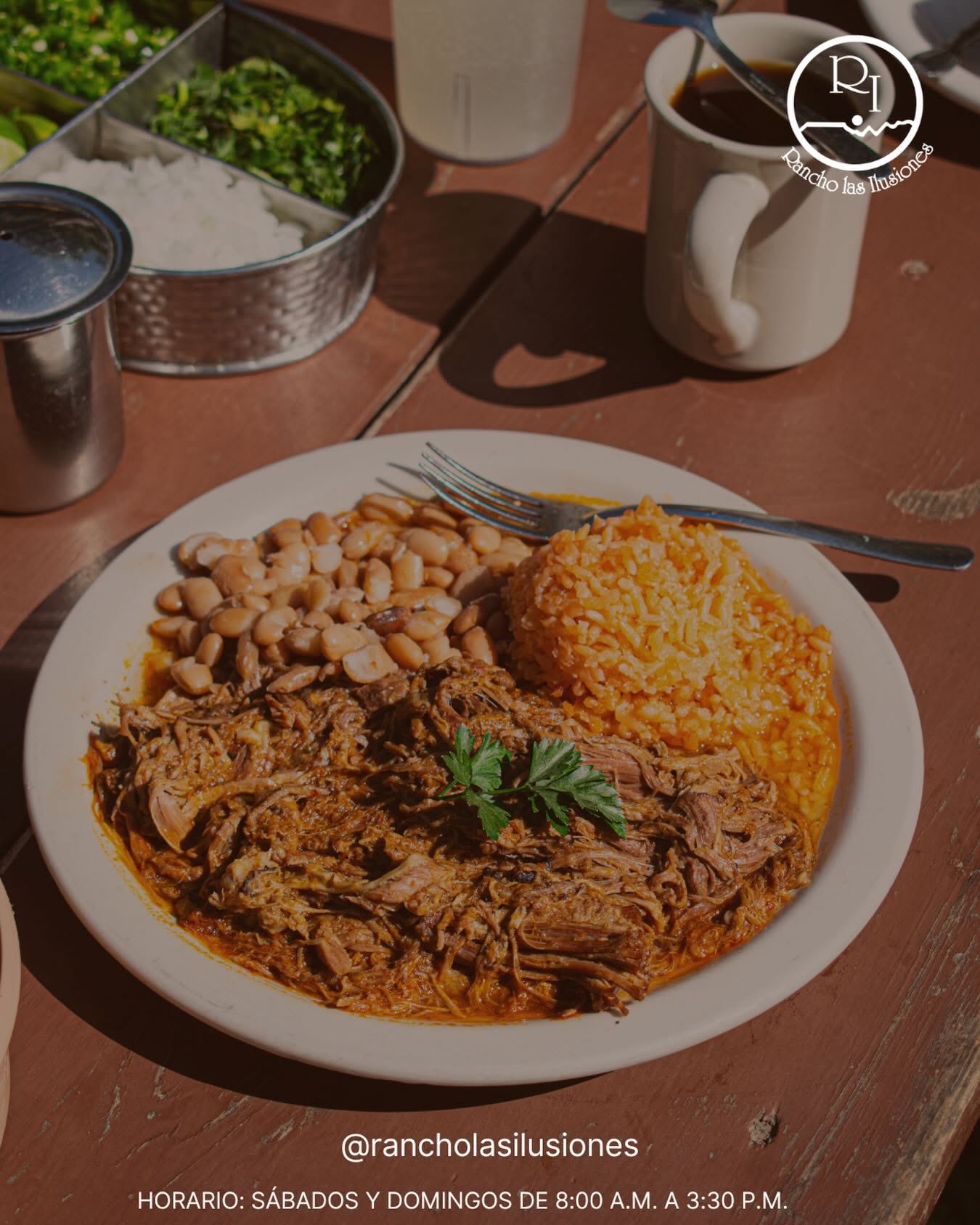 Plato de barbacoa con arroz y frijoles